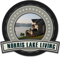 Cove Pointe Homes for Sale on Norris Lake